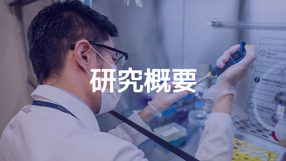 研究概要